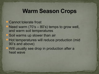 Cannot tolerate frost
Need warm (70’s – 80’s) temps to grow well,
and warm soil temperatures
Soil warms up slower than air
Hot temperatures will reduce production (mid
90’s and above)
Will usually see drop in production after a
heat wave
 