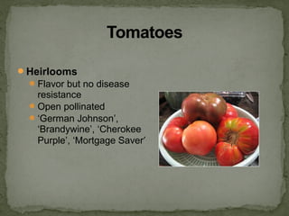 Heirlooms
Flavor but no disease
resistance
Open pollinated
‘German Johnson’,
‘Brandywine’, ‘Cherokee
Purple’, ‘Mortgage Saver’
 
