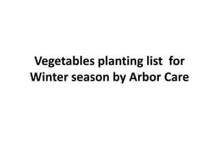 Vegetables planting list for
Winter season by Arbor
Care

 