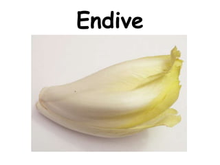 Endive