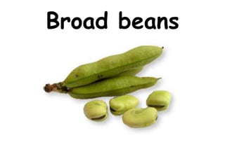 Broad beans