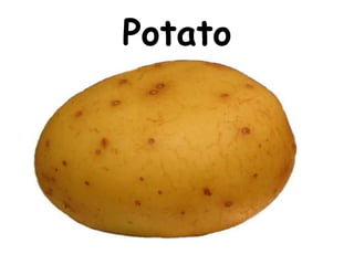 Potato