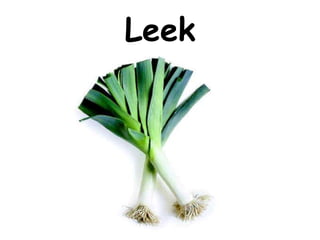 Leek