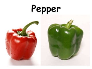 Pepper