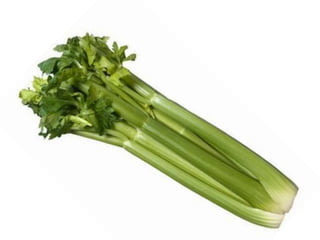 Vegetables vocabulary