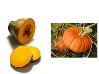 Vegetables vocabulary