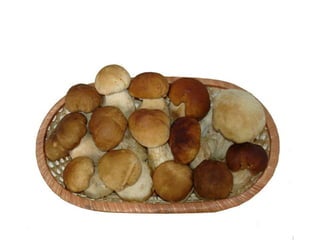 Vegetables vocabulary