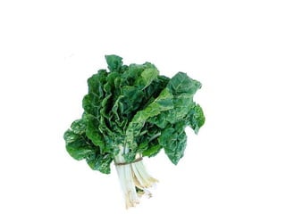 Vegetables vocabulary