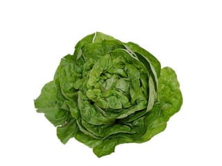 Vegetables vocabulary