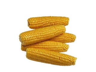 Vegetables vocabulary