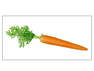 Vegetables vocabulary