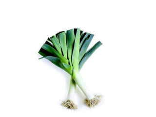 Vegetables vocabulary