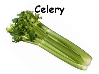 Celery