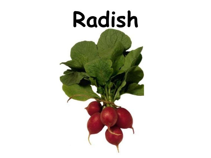 Vegetables vocabulary