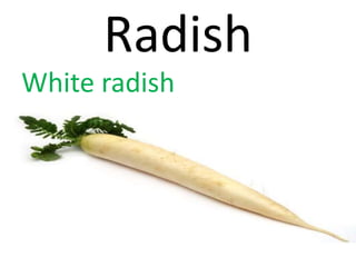 Radish
White radish
 