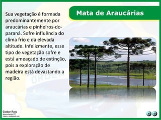 Mata de Araucárias Sua vegetação é formada predominantemente por araucárias e pinheiros-do-paraná. Sofre influência do clima frio e da elevada altitude. Infelizmente, esse tipo de vegetação sofre e está ameaçado de extinção, pois a exploração de madeira está devastando a região.  