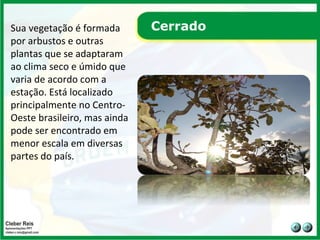Cerrado Sua vegetação é formada por arbustos e outras plantas que se adaptaram ao clima seco e úmido que varia de acordo com a estação. Está localizado principalmente no Centro-Oeste brasileiro, mas ainda pode ser encontrado em menor escala em diversas partes do país.  
