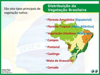 Distribuição da Vegetação Brasileira São oito tipos principais de vegetação nativa: Floresta Amazônica  (Equatorial) Floresta Tropical  (Mata Atlântica)   Vegetação Litorânea  (Mangues) Campos Pantanal Caatinga Mata de Araucárias  Cerrado 