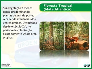 Floresta Tropical  (Mata Atlântica) Sua vegetação é menos densa predominando plantas de grande porte, recebendo influências dos ventos úmidos. Desmatada desde o século XVI, no período de colonização, existe somente 7% de área original.  