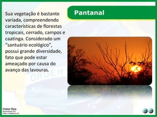 Pantanal Sua vegetação é bastante variada, compreendendo características de florestas tropicais, cerrado, campos e caatinga. Considerado um “santuário ecológico”, possui grande diversidade, fato que pode estar ameaçado por causa do avanço das lavouras.  