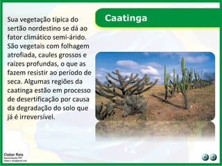 Caatinga Sua vegetação típica do sertão nordestino se dá ao fator climático semi-árido. São vegetais com folhagem atrofiada, caules grossos e raízes profundas, o que as fazem resistir ao período de seca. Algumas regiões da caatinga estão em processo de desertificação por causa da degradação do solo que já é irreversível.  