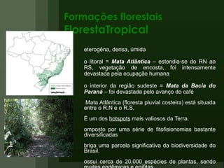 Formações florestais FlorestaTropical Heterogêna, densa, úmida No litoral =  Mata Atlântica  – estendia-se do RN ao RS, vegetação de encosta, foi intensamente devastada pela ocupação humana No interior da região sudeste =  Mata da Bacia do Paraná  – foi devastada pelo avanço do café A Mata Atlântica (floresta pluvial costeira) está situada entre o R.N e o R.S. É um dos  hotspots  mais valiosos da Terra.  Composto por uma série de fitofisionomias bastante diversificadas Abriga uma parcela significativa da biodiversidade do Brasil.  Possui cerca de 20.000 espécies de plantas, sendo muitas endêmicas e epífitas As folhas são largas (latifoliadas) e perenes (perenifólias). Entre aves, mamíferos, répteis e anfíbios são 1.361 espécies de animais  das quais 567 são endêmicas. 