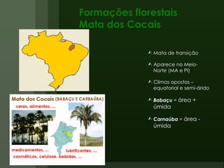 Formações florestais Mata dos Cocais Mata de transição Aparece no  Meio-Norte  (MA e PI) Climas opostos – equatorial e semi-árido Babaçu  =  área + úmida Carnaúba  =  área - úmida  