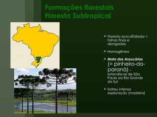 Formações florestais Floresta Subtropical Floresta aciculifoliada = folhas finas e alongadas Homogênea Mata das Araucárias  (= pinheiro-do-paraná)  – estendia-se de São Paulo ao Rio Grande do Sul Sofreu intensa exploração (madeira)  