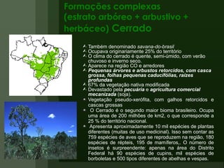 Formações complexas (estrato arbóreo + arbustivo + herbáceo)  Cerrado Também denominado  savana-do-brasil Ocupava originariamente 25% do território O clima do cerrado é quente, semi-úmido, com verão chuvoso e inverno seco.  Aparece na região CO e arredores Pequenas árvores e arbustos retorcidos, com casca grossa, folhas pequenas caducifólias, raízes profundas 67% da vegetação nativa modificada Devastado pela  pecuária  e  agricultura comercial   mecanizada  (soja). Vegetação pseudo-xerófita, com galhos retorcidos e cascas grossas O Cerrado é o segundo maior bioma brasileiro. Ocupa uma área de 200 milhões de km2, o que corresponde a 25 % do território nacional. Apresenta aproximadamente 10 mil espécies de plantas diferentes (muitas de uso medicinal). Isso sem contar as 759 espécies de aves que se reproduzem na região, 180 espécies de répteis, 195 de mamíferos,. O número de insetos é surpreendente: apenas na área do Distrito Federal há 90 espécies de cupins, mil espécies de borboletas e 500 tipos diferentes de abelhas e vespas. 