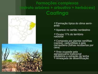 Formações complexas (estrato arbóreo + arbustivo + herbáceo) Caatinga Formação típica do clima semi-árido Aparece no sertão nordestino Ocupa 11% do território nacional Composta por plantas xerófitas (cactos), caducifólias e pela carnaubeira (folhas recobertas por cera) Área ocupada pela agropecuária tradicional  predatória e extração de lenha Ameaçada de desertificação 