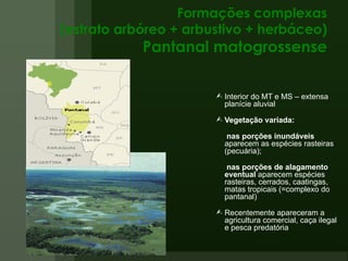 Formações complexas (estrato arbóreo + arbustivo + herbáceo) Pantanal matogrossense Interior do MT e MS – extensa planície aluvial  Vegetação variada:   nas porções inundáveis  aparecem as espécies rasteiras (pecuária); nas porções de alagamento eventual  aparecem espécies rasteiras, cerrados, caatingas, matas tropicais (=complexo do pantanal) Recentemente apareceram a agricultura comercial, caça ilegal e pesca predatória 