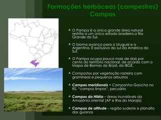 Formações herbáceas (campestres) Campos O Pampa é a única grande área natural restrita a um único estado brasileiro,o Rio Grande do Sul.  O bioma avança para o Uruguai e a Argentina. É exclusivo do sul da América do Sul.  O Pampa ocupa pouco mais de dois por cento do território nacional, de acordo com o Mapa de Biomas do Brasil, do IBGE.  Compostos por vegetação rasteira com gramíneas e pequenos arbustos Campos meridionais  =  Campanha Gaúcha  no RS, “campos limpos”, pecuária Campos da Hiléia  – áreas inundáveis da Amazônia oriental (AP e ilha do Marajó) Campos de altitude  – região sudeste e planalto das guianas 