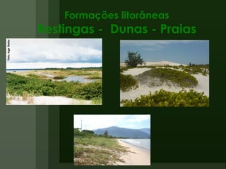 Formações litorâneas Restingas -  Dunas - Praias 