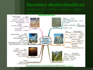 Domínios Morfoclimáticos (vegetação + clima + relevo + solos + hidrografia) 