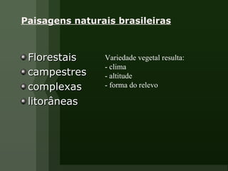 Paisagens naturais brasileiras Florestais campestres complexas litorâneas Variedade vegetal resulta: - clima - altitude - forma do relevo 