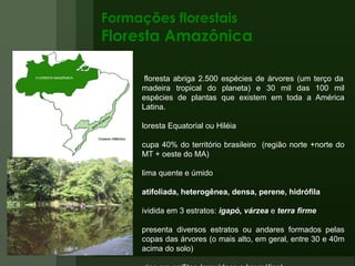 Formações florestais Floresta Amazônica A floresta abriga 2.500 espécies de árvores (um terço da madeira tropical do planeta) e 30 mil das 100 mil espécies de plantas que existem em toda a América Latina.  Floresta Equatorial ou Hiléia Ocupa 40% do território brasileiro  (região norte +norte do MT + oeste do MA)  Clima quente e úmido Latifoliada, heterogênea, densa, perene, hidrófila Dividida em 3 estratos:  igapó, várzea   e  terra firme Apresenta diversos estratos ou andares formados pelas copas das árvores (o mais alto, em geral, entre 30 e 40m acima do solo) É rica em epífitas (orquídeas e bromélias) Temperatura estável no decorre do ano (média entre 25º e 28º C) Muitas espécies endêmicas (que ocorrem em apenas determinado local)  Vasta diversidade de fauna 