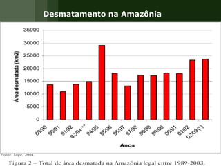 Desmatamento na Amazônia 