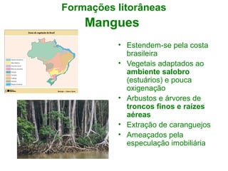 Formações litorâneas

Mangues
• Estendem-se pela costa
brasileira
• Vegetais adaptados ao
ambiente salobro
(estuários) e pouca
oxigenação
• Arbustos e árvores de
troncos finos e raízes
aéreas
• Extração de caranguejos
• Ameaçados pela
especulação imobiliária

 