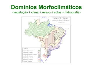 Domínios Morfoclimáticos
(vegetação + clima + relevo + solos + hidrografia)

 
