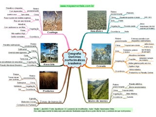 Vegetacao brasileira