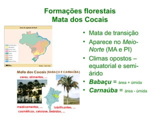 Formações florestais
Mata dos Cocais
• Mata de transição
• Aparece no MeioNorte (MA e PI)
• Climas opostos –
equatorial e semiárido
• Babaçu = área + úmida
• Carnaúba = área - úmida

 