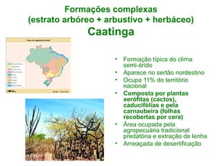 Formações complexas
(estrato arbóreo + arbustivo + herbáceo)

Caatinga
•
•
•
•

•
•

Formação típica do clima
semi-árido
Aparece no sertão nordestino
Ocupa 11% do território
nacional
Composta por plantas
xerófitas (cactos),
caducifólias e pela
carnaubeira (folhas
recobertas por cera)
Área ocupada pela
agropecuária tradicional
predatória e extração de lenha
Ameaçada de desertificação

 
