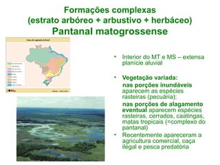 Formações complexas
(estrato arbóreo + arbustivo + herbáceo)

Pantanal matogrossense
•

Interior do MT e MS – extensa
planície aluvial

•

Vegetação variada:
nas porções inundáveis
aparecem as espécies
rasteiras (pecuária);
nas porções de alagamento
eventual aparecem espécies
rasteiras, cerrados, caatingas,
matas tropicais (=complexo do
pantanal)
Recentemente apareceram a
agricultura comercial, caça
ilegal e pesca predatória

•

 
