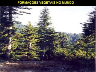  
FORMAÇÕES VEGETAIS NO MUNDO
 