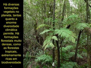 Há diversas
formações
vegetais no
planeta, tantas
quanto a
enorme
diversidade
climática
permite. Há
formações
florestais muito
densas, como
as florestas
tropicais,
extremamente
ricas em
biodiversidade
-
 