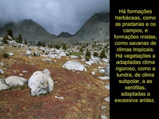 Há formações
herbáceas, como
as pradarias e os
campos, e
formações mistas,
como savanas de
climas tropicais.
Há vegetações a
adaptadas clima
rigoroso, como a
tundra, de clima
subpolar, a as
xerófilas,
adaptadas a
excessiva aridez.
 