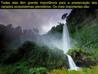 Todas elas têm grande importância para a preservação dos
variados ecossistemas planetários. Os mais importantes são:
 