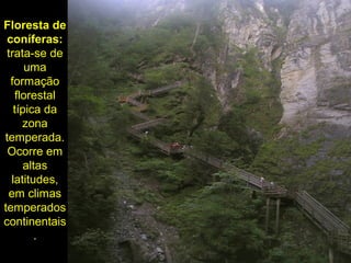  
indústria madeireira e de papel e celulose.
Floresta de
coníferas:
trata-se de
uma
formação
florestal
típica da
zona
temperada.
Ocorre em
altas
latitudes,
em climas
temperados
continentais
.
 
