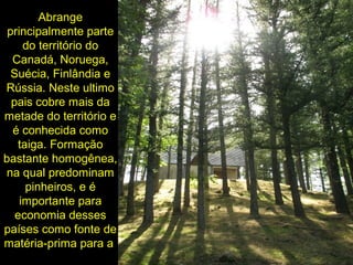 Abrange
principalmente parte
do território do
Canadá, Noruega,
Suécia, Finlândia e
Rússia. Neste ultimo
pais cobre mais da
metade do território e
é conhecida como
taiga. Formação
bastante homogênea,
na qual predominam
pinheiros, e é
importante para
economia desses
países como fonte de
matéria-prima para a
 
