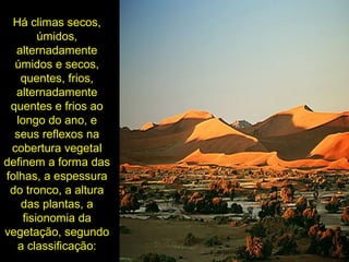 Há climas secos,
úmidos,
alternadamente
úmidos e secos,
quentes, frios,
alternadamente
quentes e frios ao
longo do ano, e
seus reflexos na
cobertura vegetal
definem a forma das
folhas, a espessura
do tronco, a altura
das plantas, a
fisionomia da
vegetação, segundo
a classificação:
 